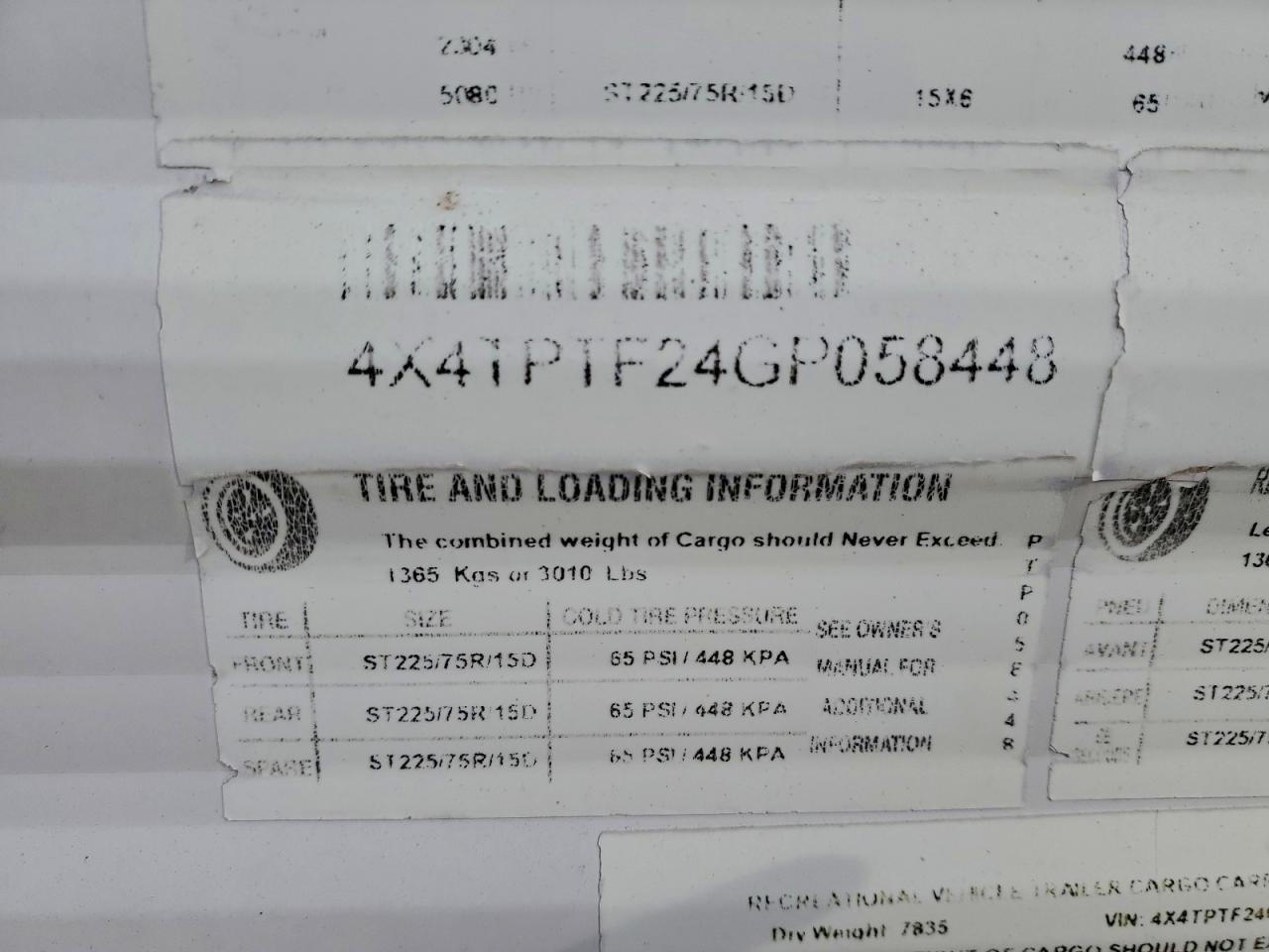 Puma Unleashed Image 6