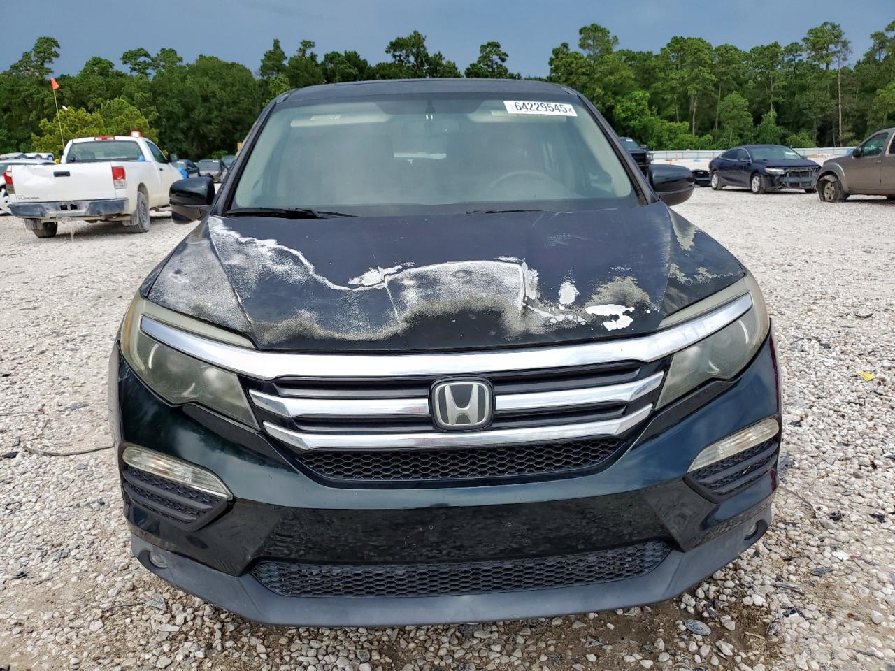 Honda Pilot Exl Image 5
