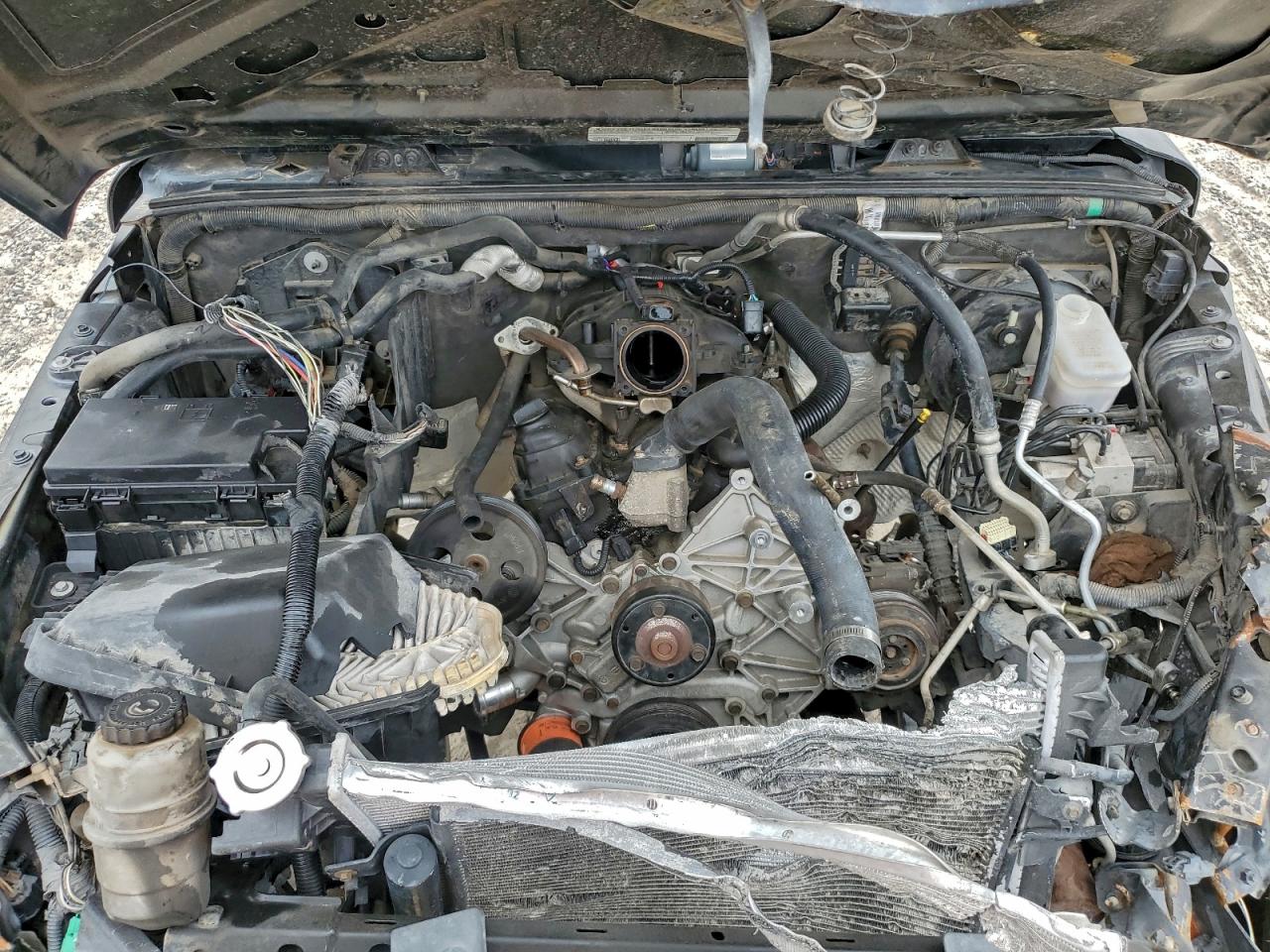 Jeep Wrangler Sahara Image 10