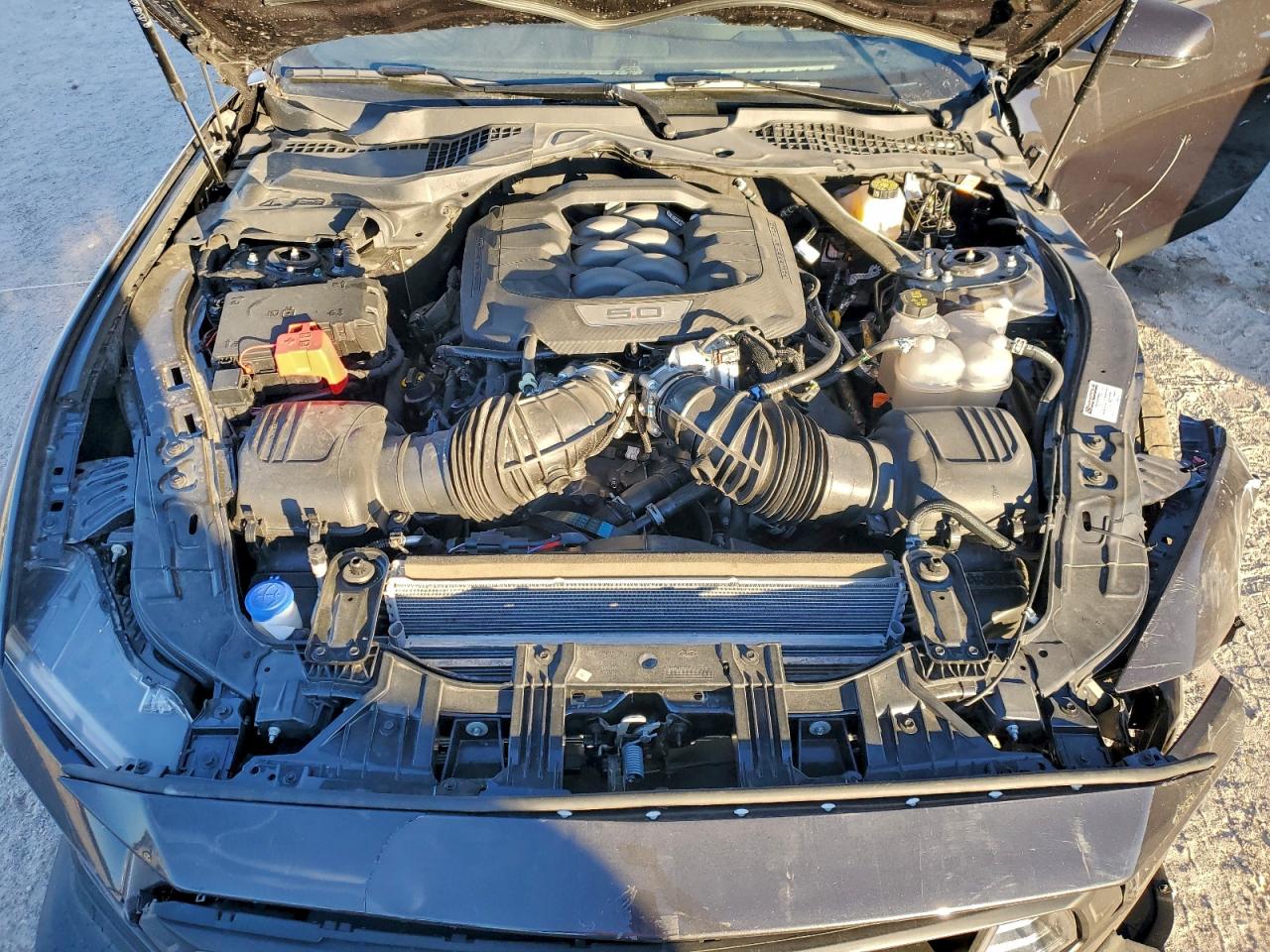 Ford Mustang Gt Image 7