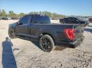 Ford F-150 Image 3
