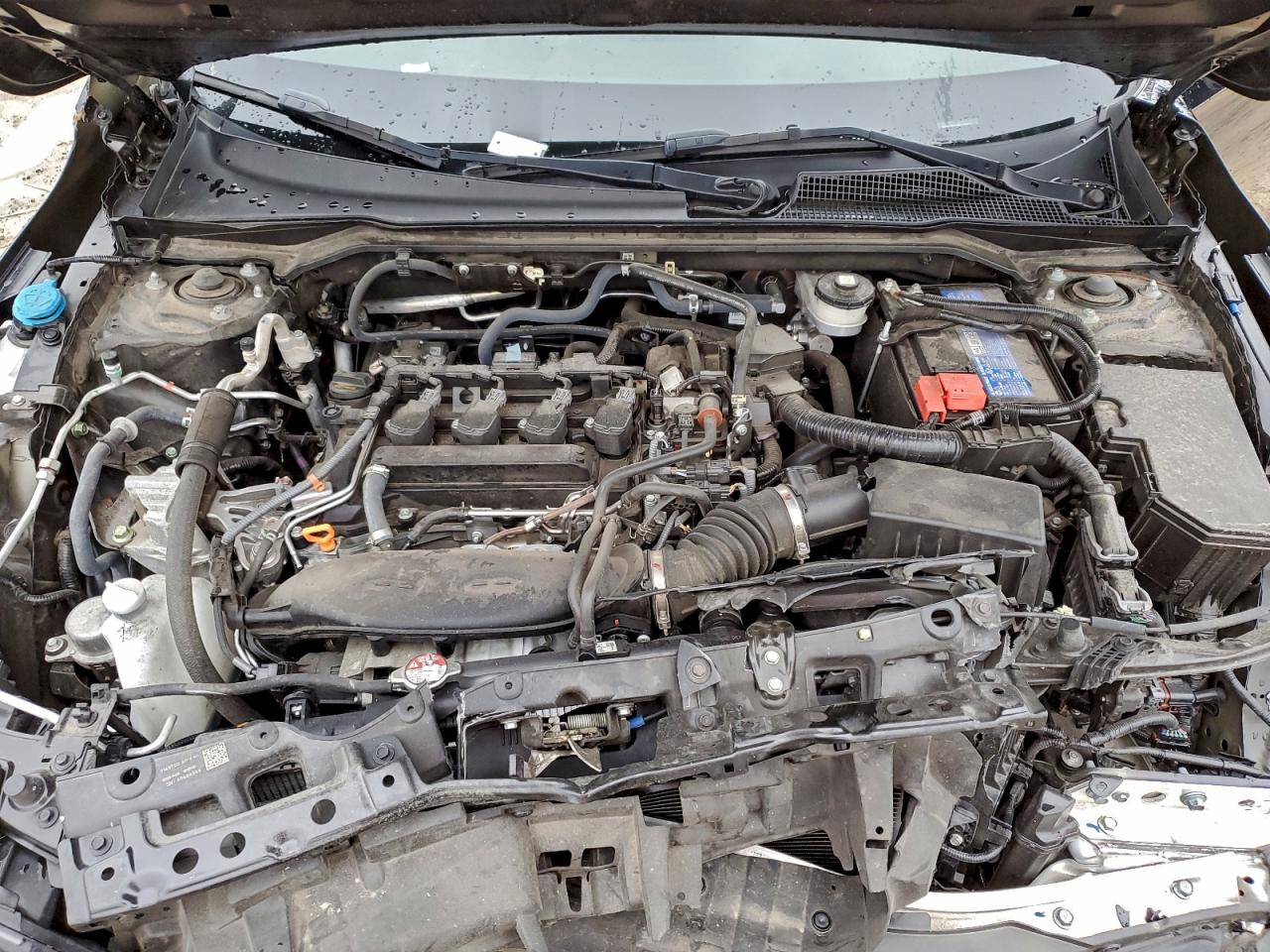 Honda Civic Exl Image 12