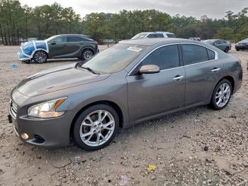  Salvage Nissan Maxima