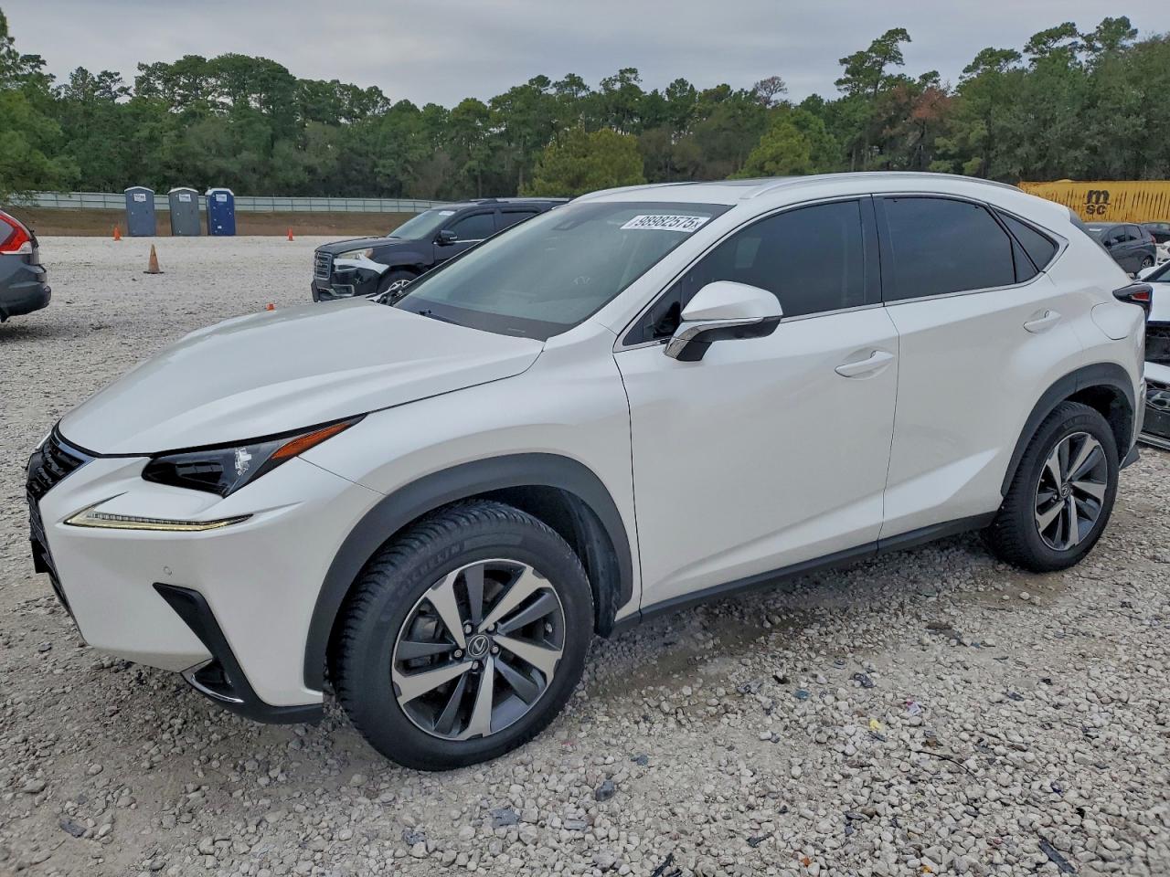 Lexus NX 300 Image 1