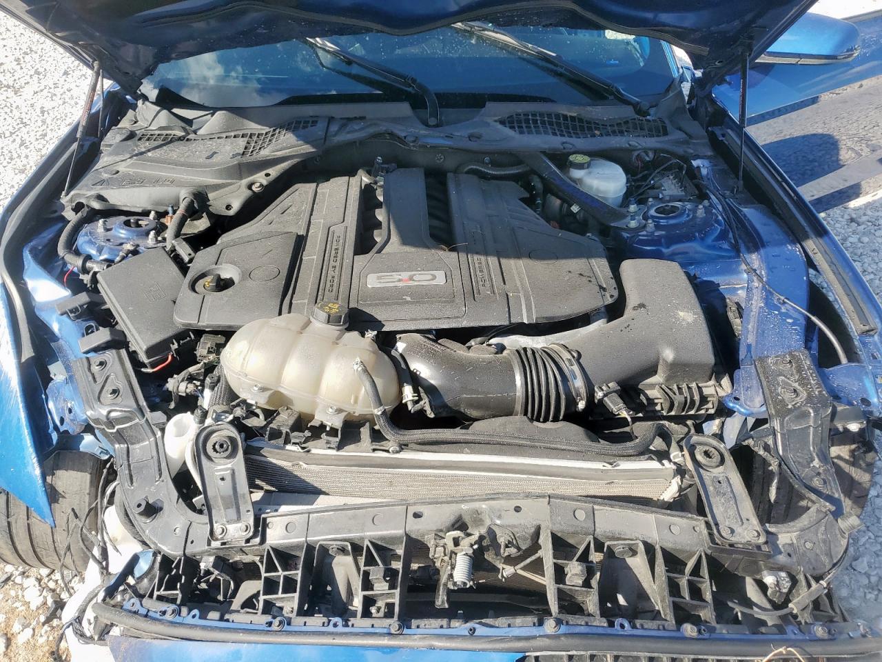 Ford Mustang Gt Image 11