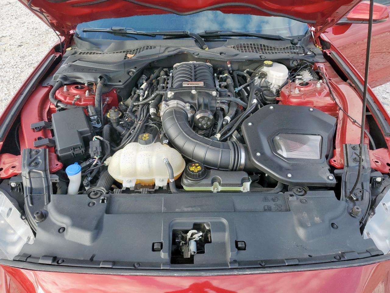 Ford Mustang Gt Image 8