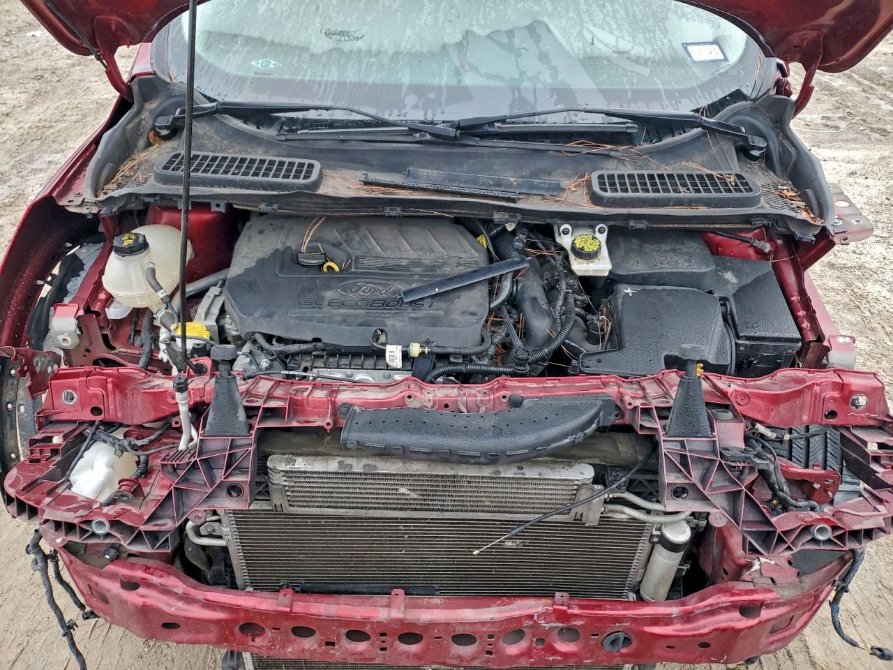 Ford Escape Se Image 13