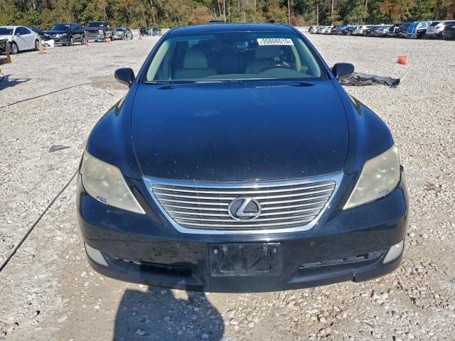 Lexus LS 460 Image 5