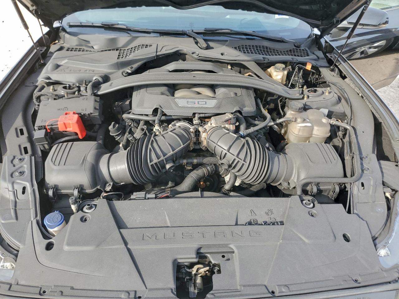 Ford Mustang Gt Image 10