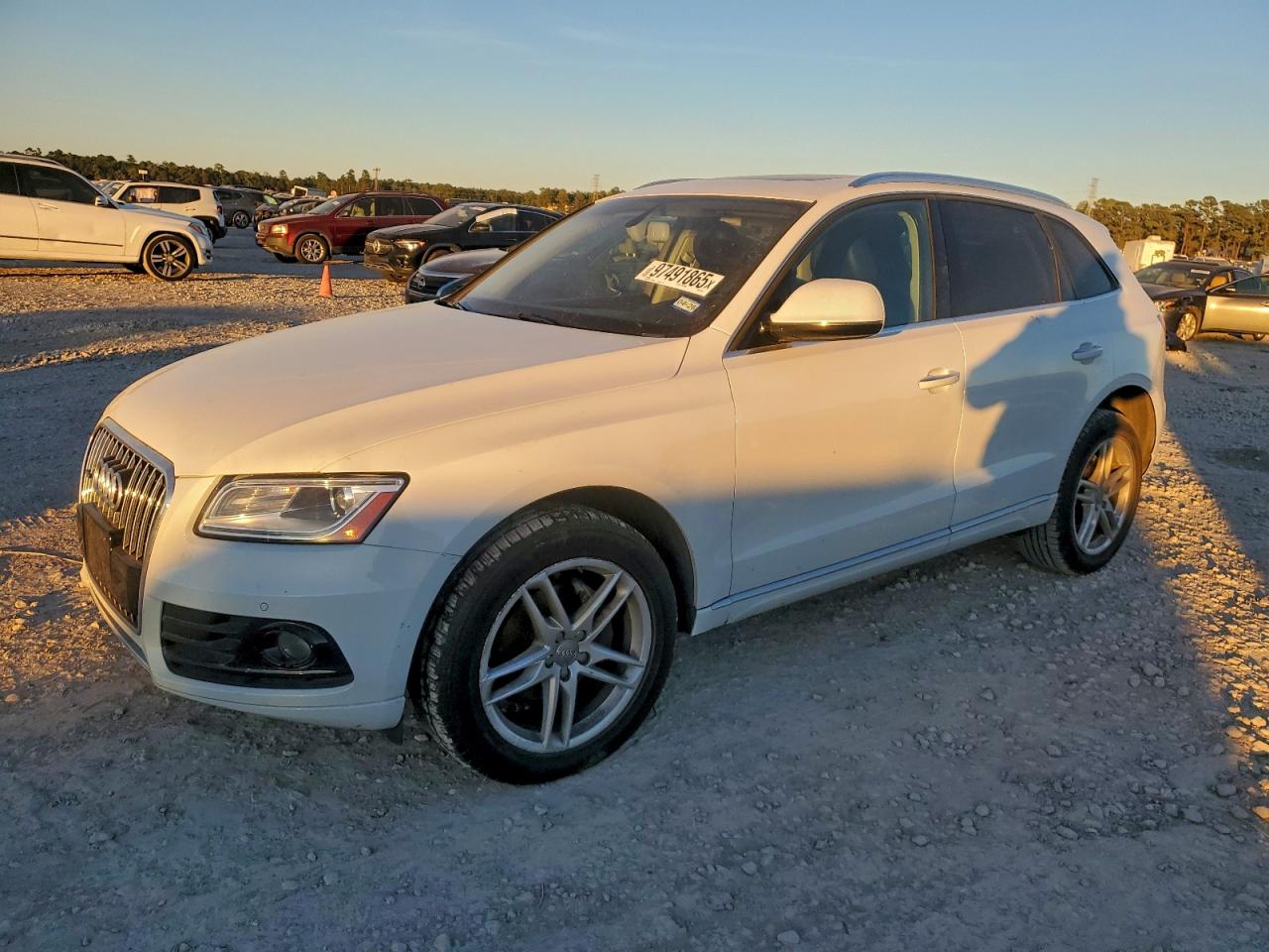 Audi Q5 Premium Plus Image 1