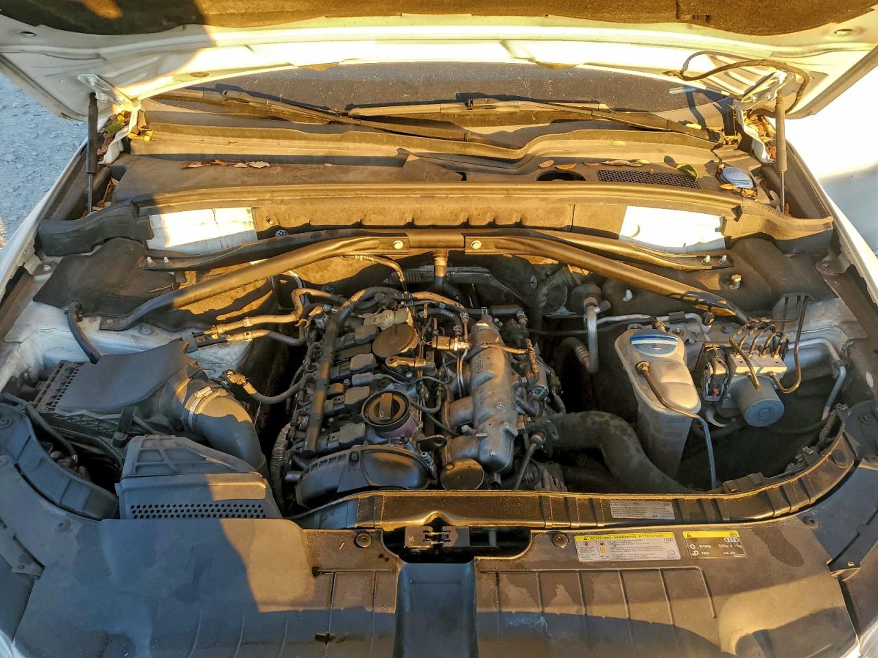 Audi Q5 Premium Plus Image 10