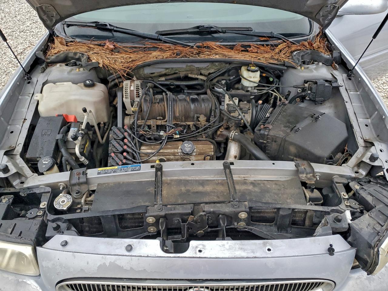 Buick LeSabre Custom Image 9