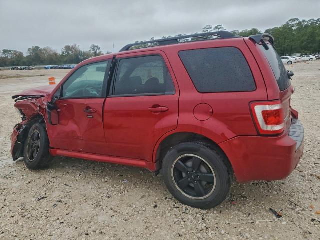 Ford Escape Xlt Image 12