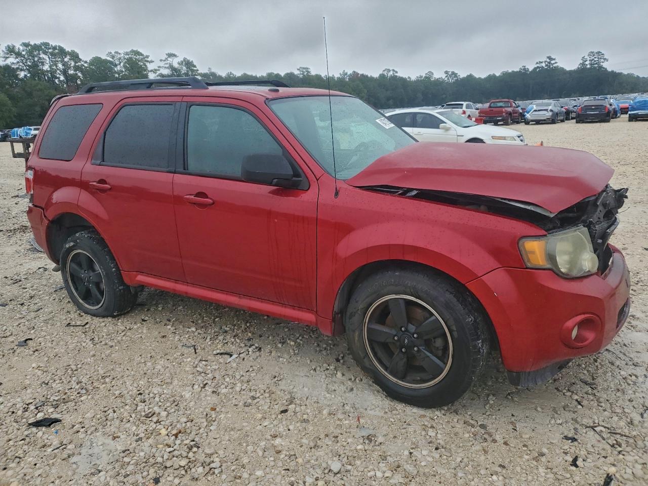 Ford Escape Xlt Image 2