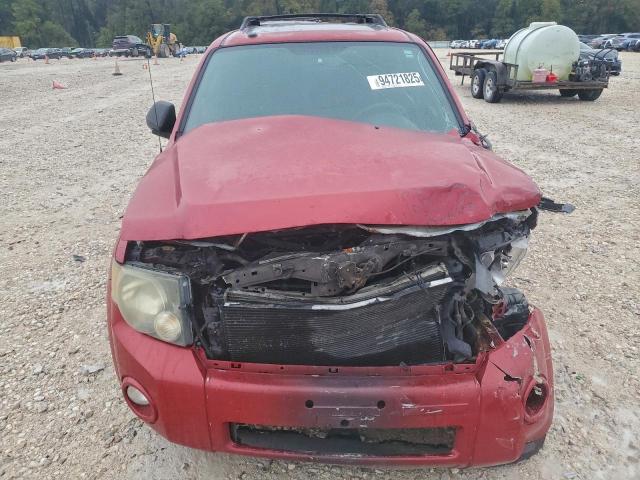 Ford Escape Xlt Image 11