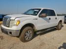 Ford F-150 Supercrew Image 1