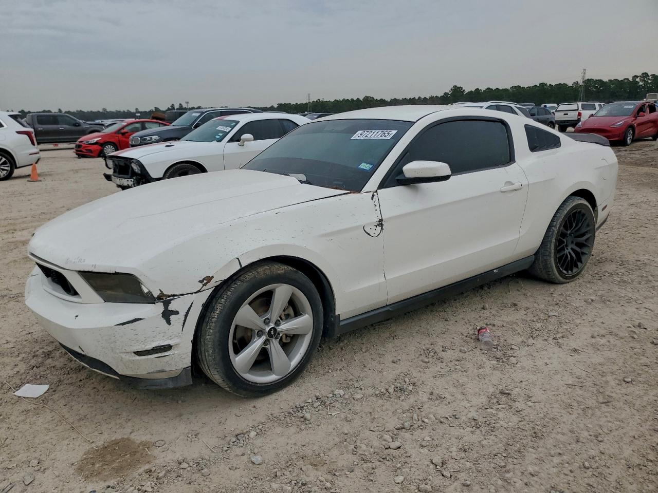 Ford Mustang Image 1