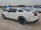 Ford Mustang Image 3