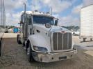 Peterbilt 386 Image 1