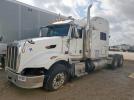 Peterbilt 386 Image 2