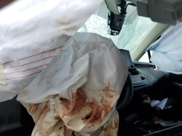 Toyota Corolla Le Image 8