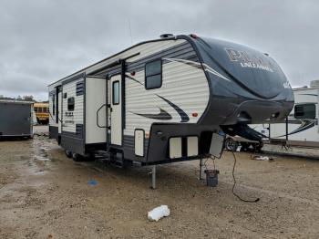  Salvage Palomino Puma