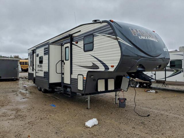  Salvage Palomino Puma