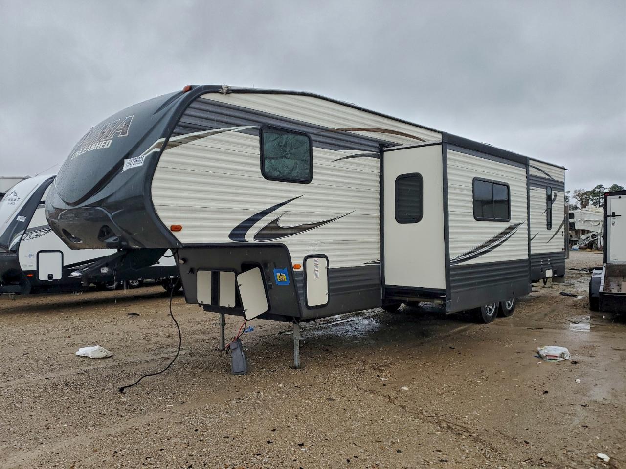 Palomino Puma Image 4