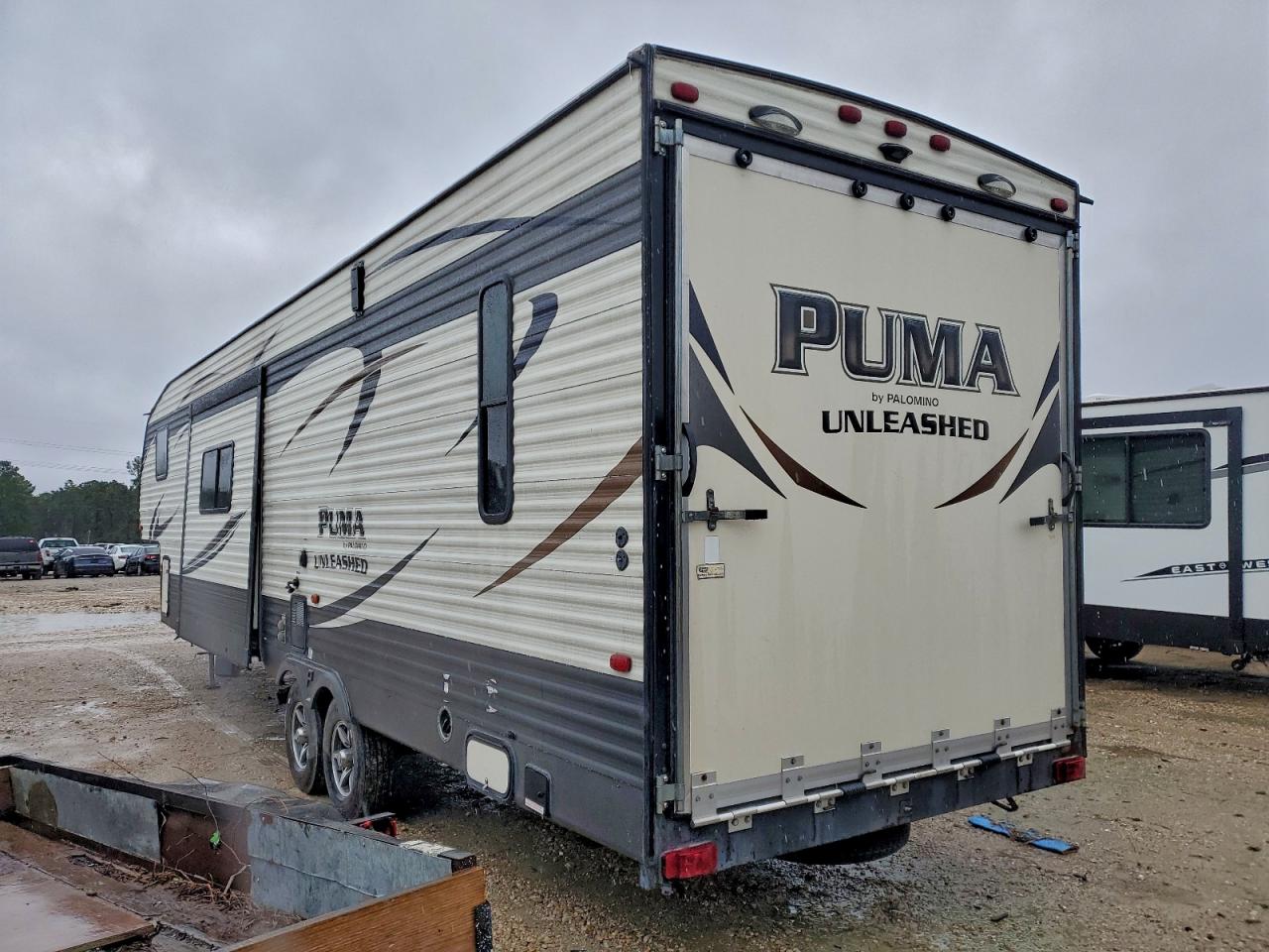 Palomino Puma Image 6