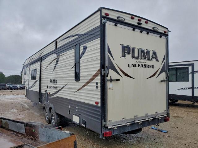 Palomino Puma Image 6