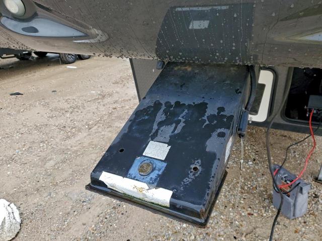 Palomino Puma Image 5