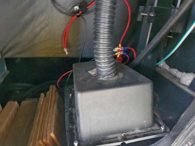 Palomino Puma Image 7