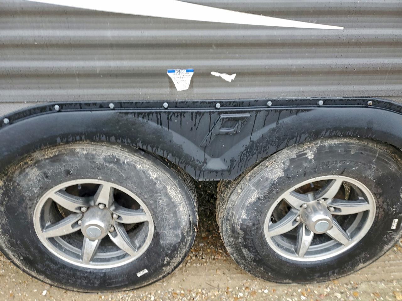 Palomino Puma Image 8