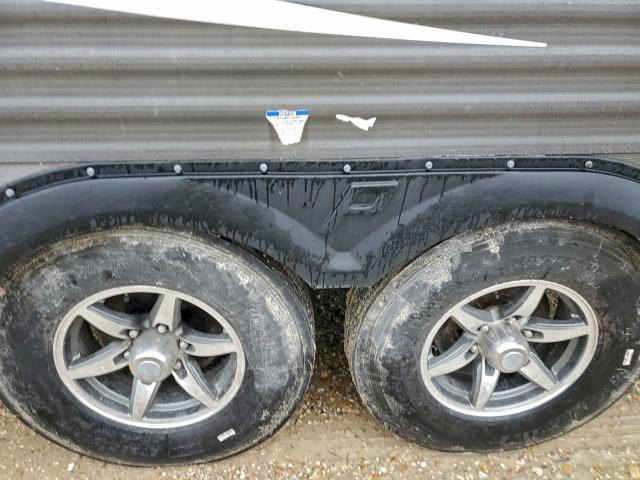 Palomino Puma Image 8