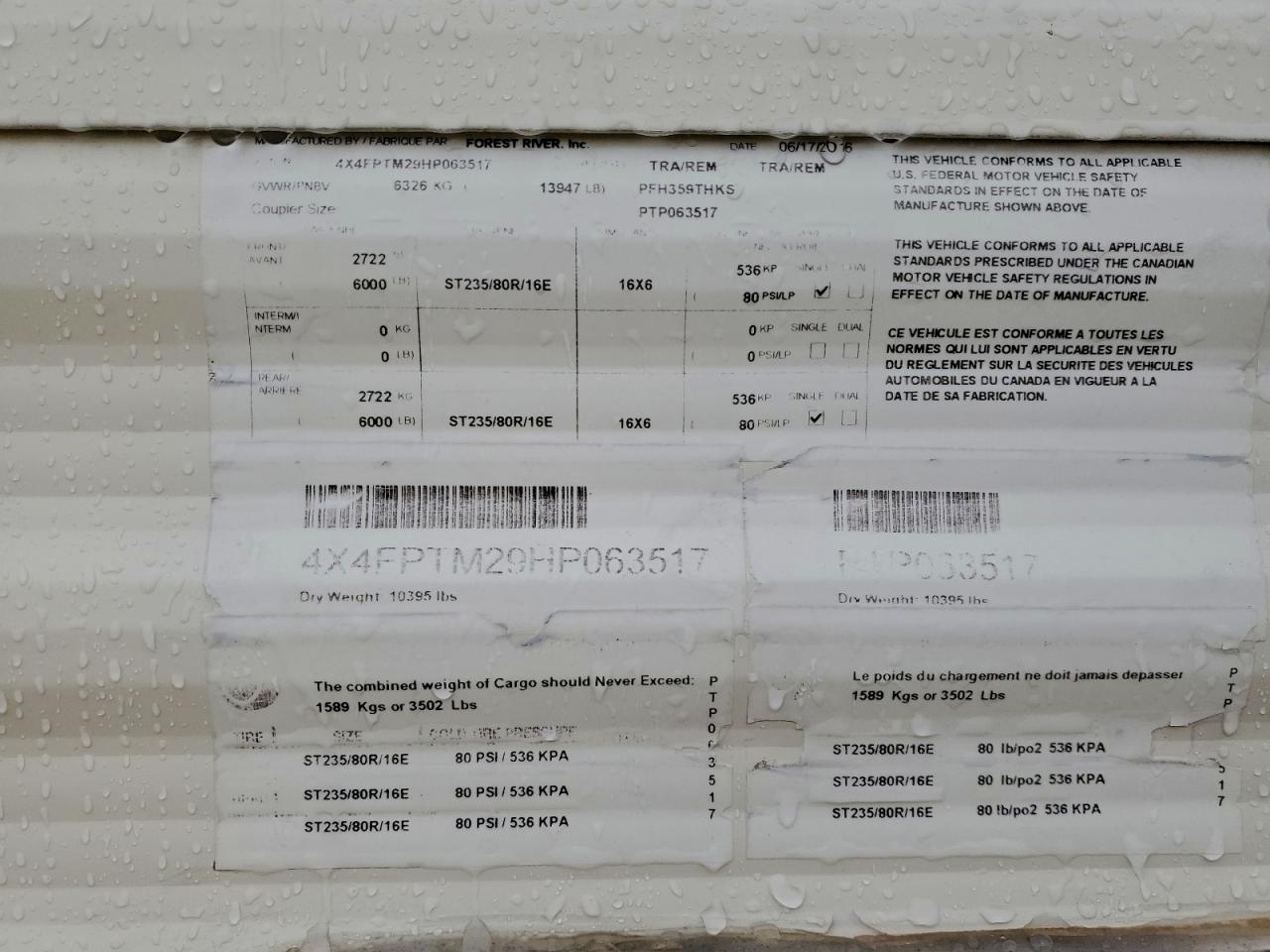 Palomino Puma Image 9