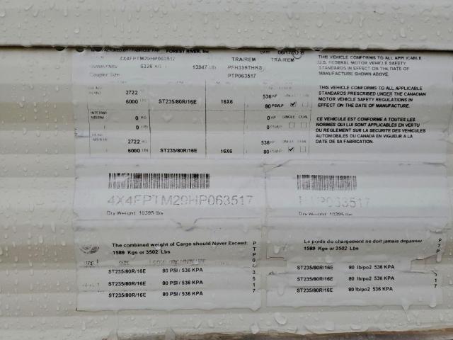 Palomino Puma Image 9