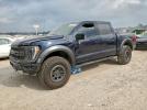 Ford F-150 Raptor Image 1