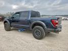 Ford F-150 Raptor Image 7