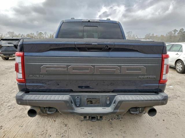 Ford F-150 Raptor Image 6