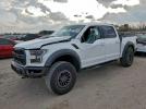 Ford F-150 Raptor Image 1