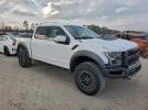 Ford F-150 Raptor Image 6