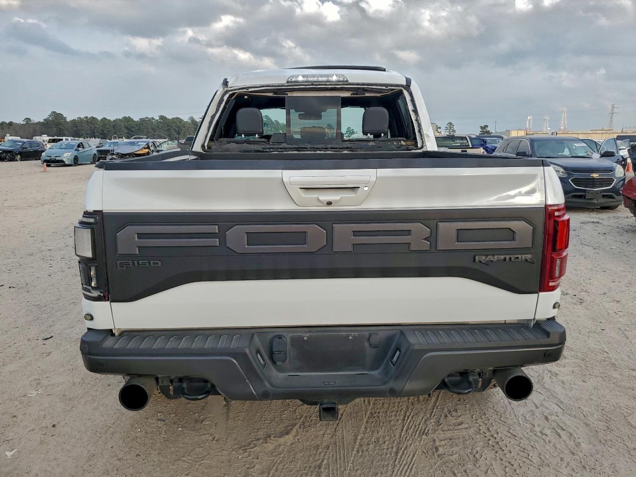 Ford F-150 Raptor Image 3