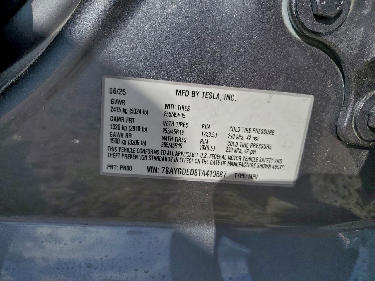 Tesla Model Y Image 12