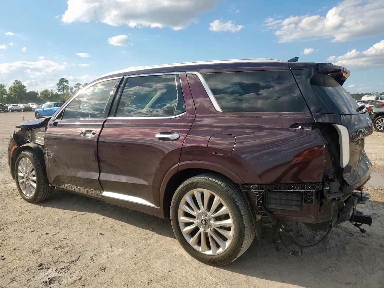 Hyundai PALISADE Limited Image 3