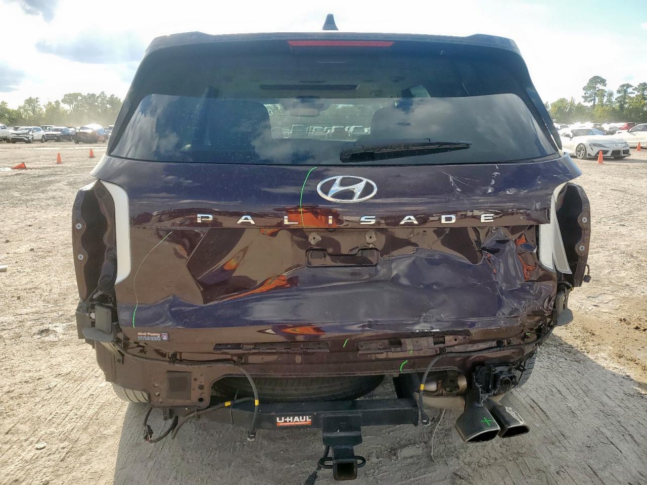 Hyundai PALISADE Limited Image 5