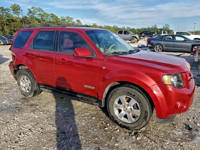 Ford Escape Limited Image 8