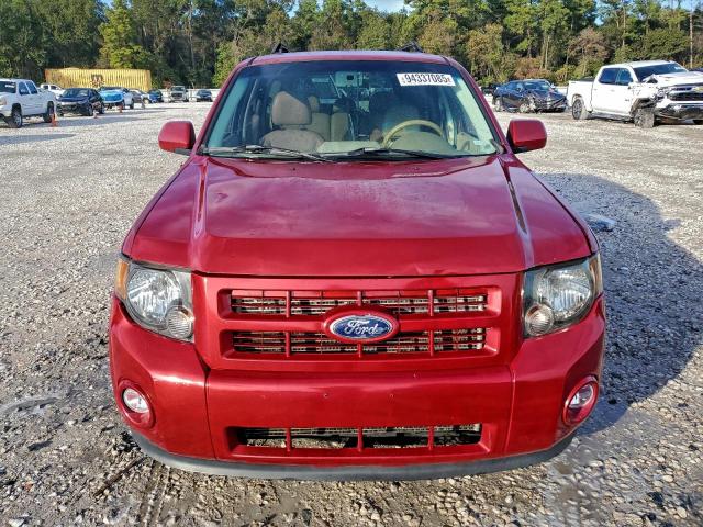 Ford Escape Limited Image 6