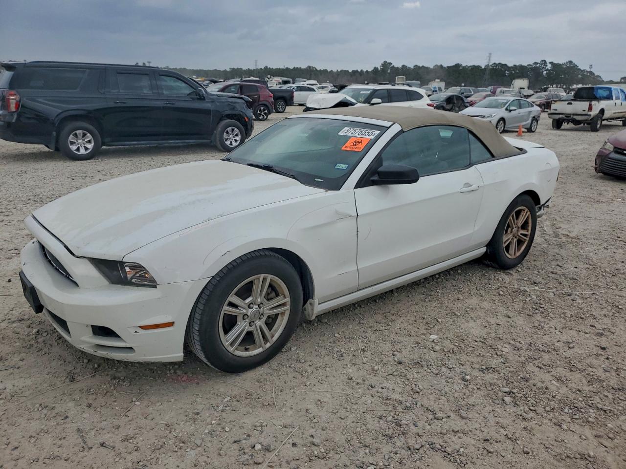 Ford Mustang Image 1