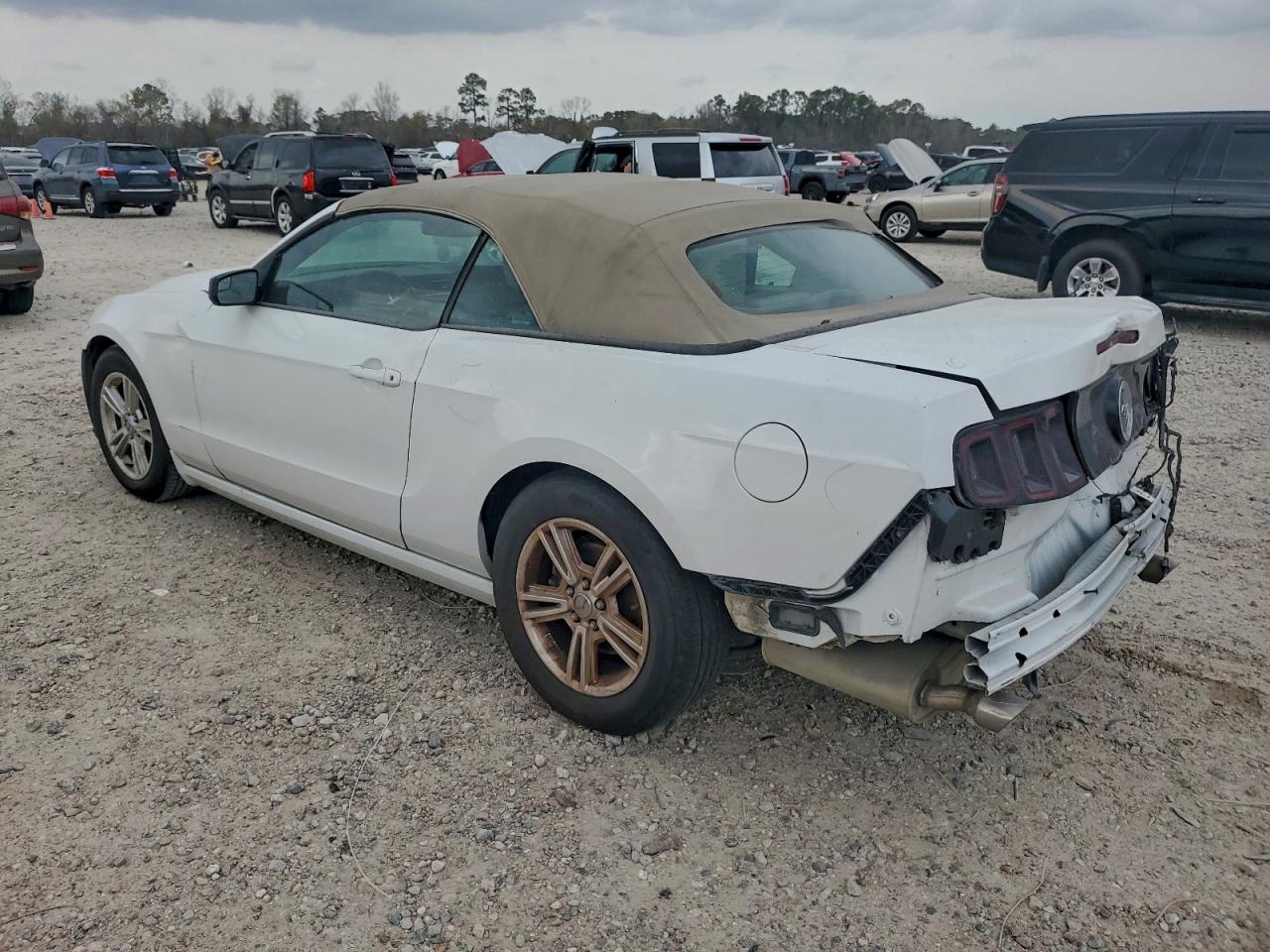 Ford Mustang Image 2