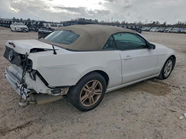 Ford Mustang Image 6